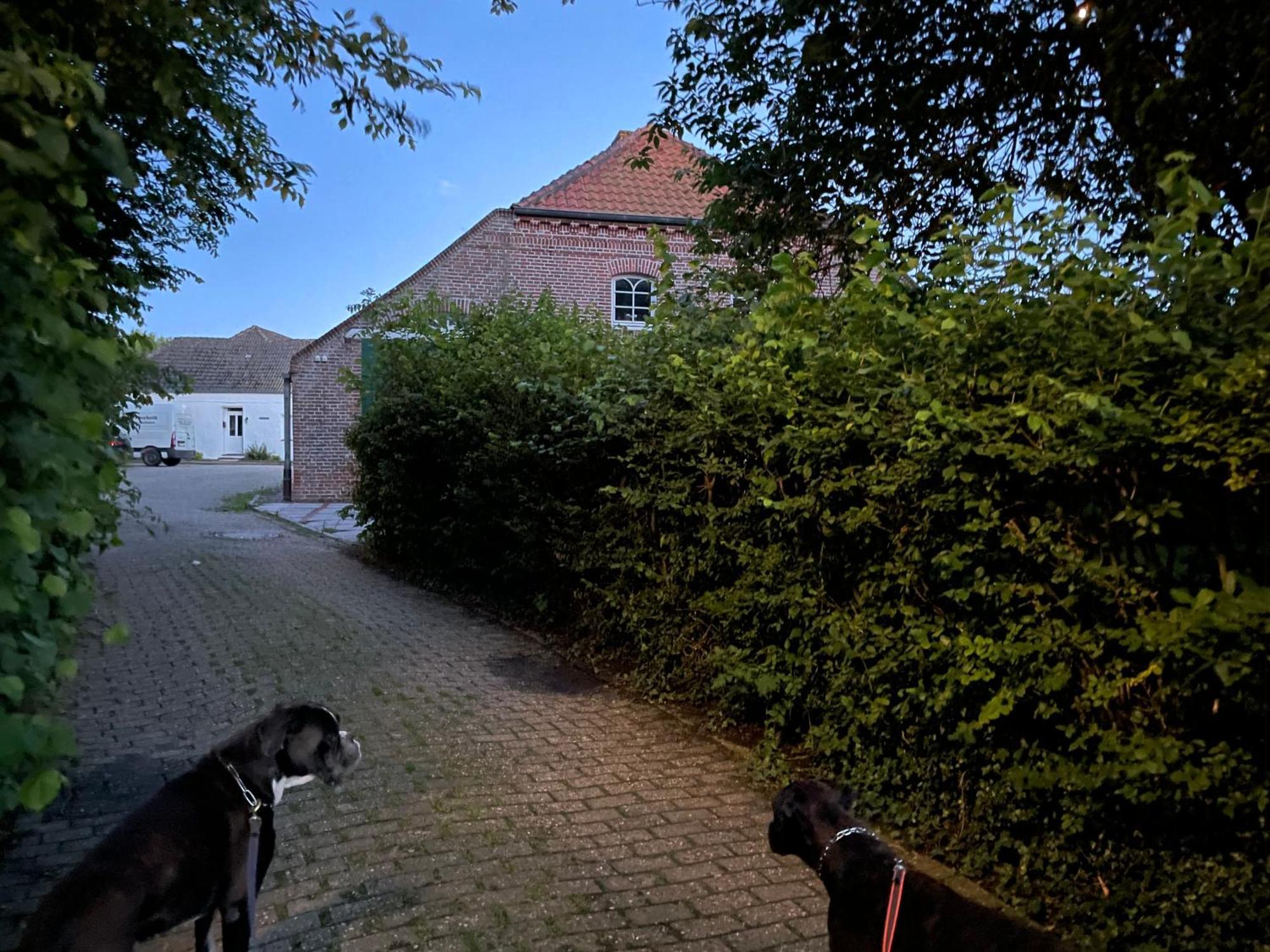Gulfhaus Alte Meesterei Manslagt Exterior photo